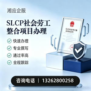 南通SLCP社会劳工整合项目申报服务