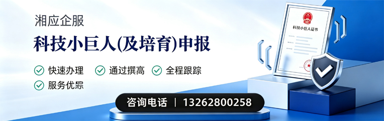 南通科技小巨人及培育企业申报服务