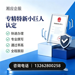南通专精特新小巨人申报服务
