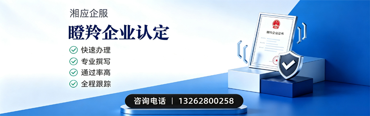 南通瞪羚企业认定申报服务