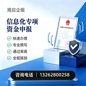 南通信息化专项资金申报服务