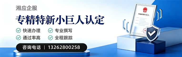 南通专精特新小巨人申报服务